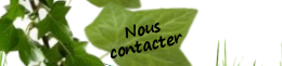 Nous contacter