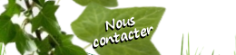 Nous contacter